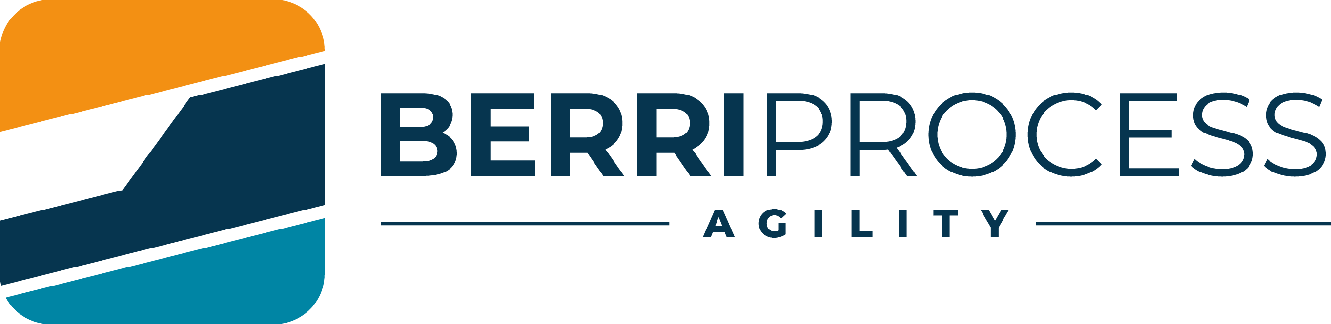 BerriprocessAgilityLOGO