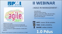 Webinar: Agile in Management